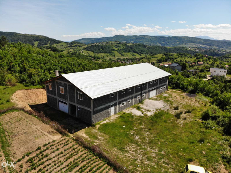 video image